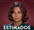 Estimados Señores
