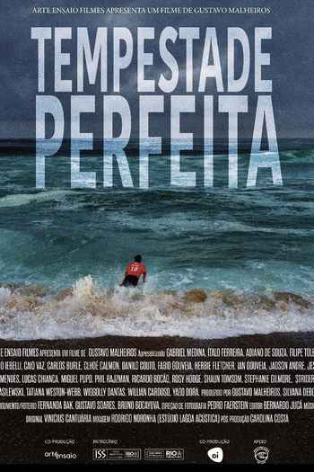 Poster de Filme Tempestade Perfeita (2021)