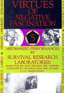 Virtues Of Negative Fascination (Virtues Of Negative Fascination)