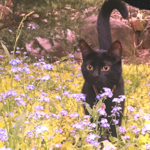 Foto de perfil de Duda