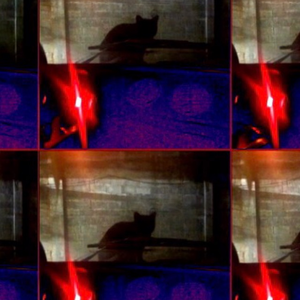 Foto de perfil de Rodopsina