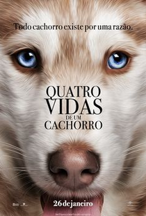 Quatro Vidas de Um Cachorro - Poster / Capa / Cartaz - Oficial 7