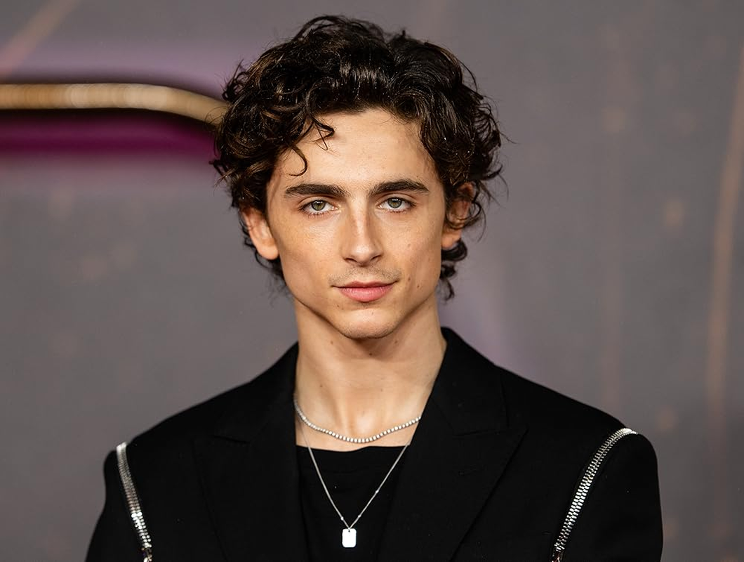Timothée Chalamet - Foto 18