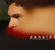 pansies