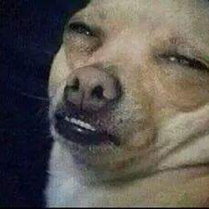 Foto de perfil de Danton