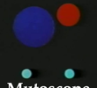 Mutoscope Reels
