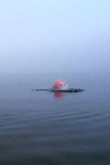 Poster de Curta Emerge (2007)