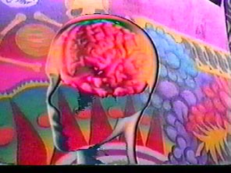 Foto 3 de How To Operate Your Brain