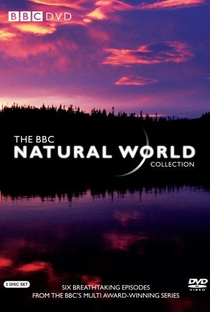 The BBC: Natural World - Florida: America's Animal Paradise - Poster / Capa / Cartaz - Oficial 1