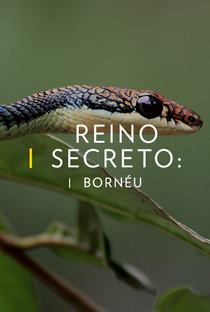 Reino Secreto: Bornéu - Poster / Capa / Cartaz - Oficial 1