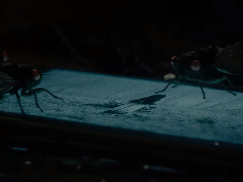 Foto 41 de O Chamado 3