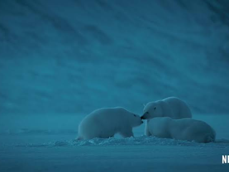 Foto 6 de A Terra à Noite