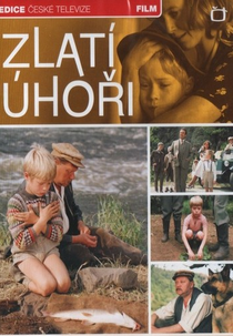 Golden Eels   (Zlatí úhoři) (Zlatí úhoři)