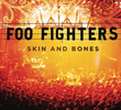 Foo Fighters - Skin and Bones