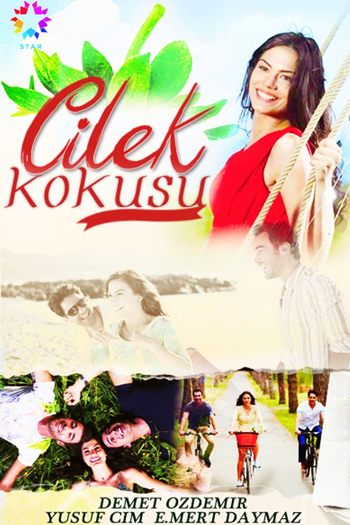 Poster de Franquia Çilek Kokusu (2015)