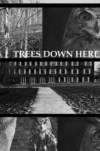 Poster de Curta Trees Down Here (2018)