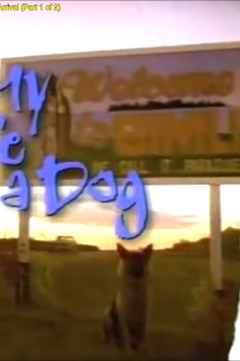 Poster de Série Minha Vida de Cachorro (1997)