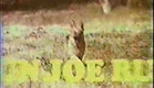 Run, Joe, Run - Season One