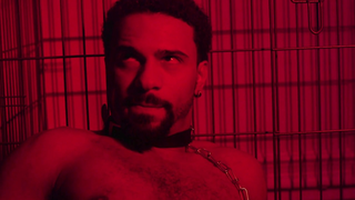 Trailer: The Breeding - Official Trailer