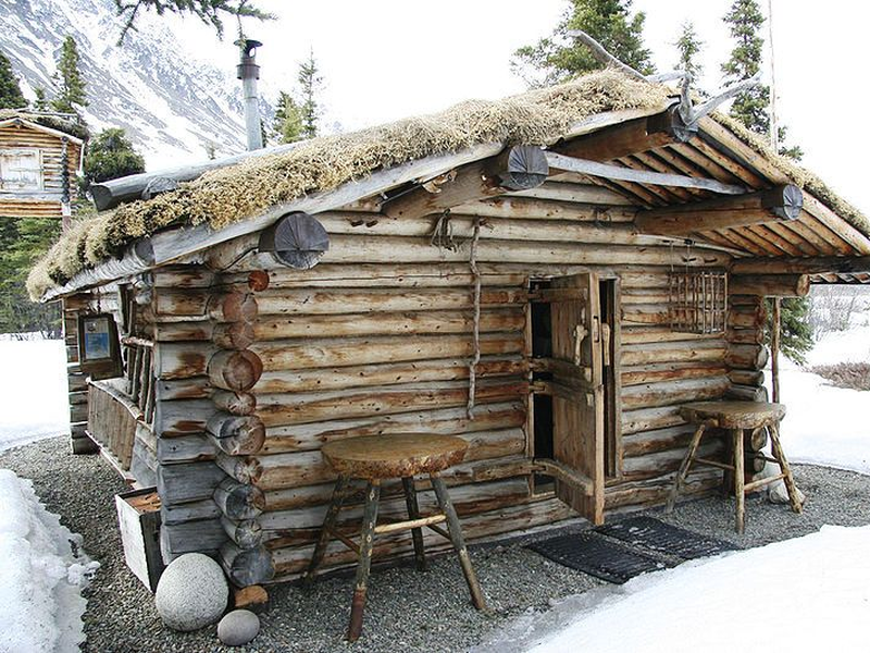 Foto 1 de Alone in the Wilderness