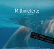 Millimeterle