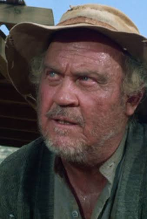 Dub Taylor - Poster / Capa / Cartaz - Oficial 1