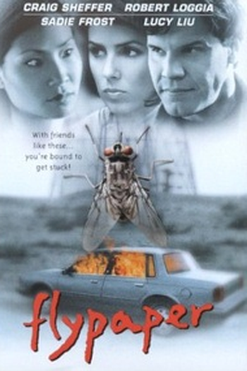 Poster de Filme Flypaper: Os Desajustados (1999)