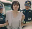 8회