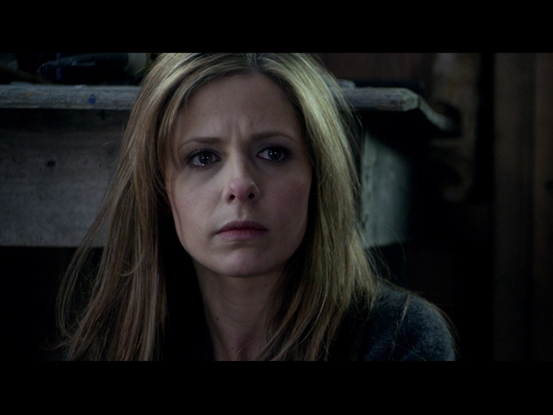 Foto 5 de Sombras de um Desejo