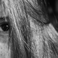 Bruna
