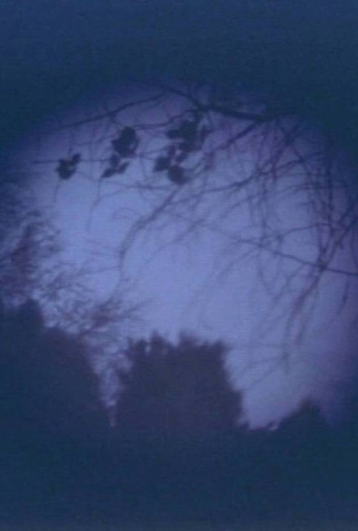 Poster 1 de Curta High Kukus (1973)