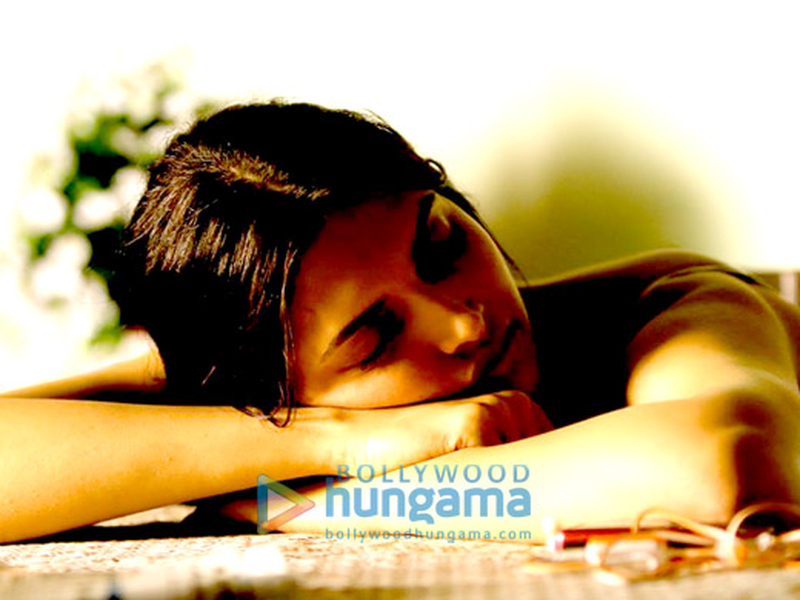 Foto 14 de Finding Fanny