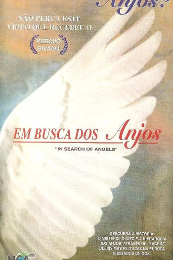 Poster de Filme Em Busca dos Anjos (1994)