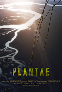 Plantae - Poster / Capa / Cartaz - Oficial 1