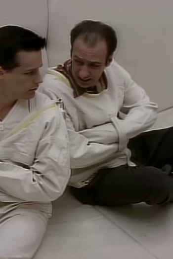 Poster de Episódio A Hawk and a Handsaw (1995)