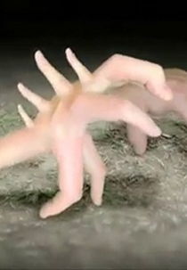 Walks of Life (Walks of Life)