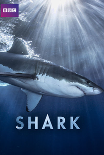 Shark (1ª Temporada) - Poster / Capa / Cartaz - Oficial 1