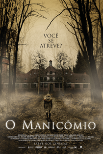 O Manicômio - Poster / Capa / Cartaz - Oficial 2