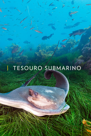 Poster 1 de Série Tesouro Submarino (2016)