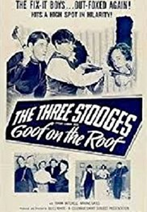 Falta Uma Telha em Cada Um (Goof on the Roof)