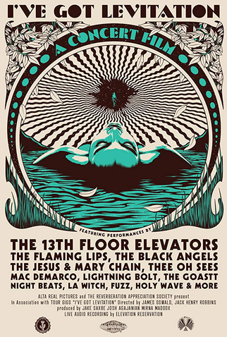 Poster 1 de Filme I've Got Levitation (2018)