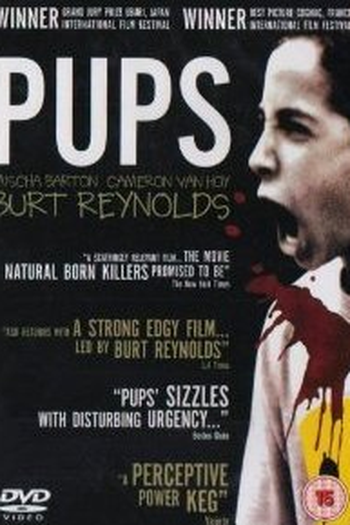 Poster de Filme Inocência Perigosa (1999)