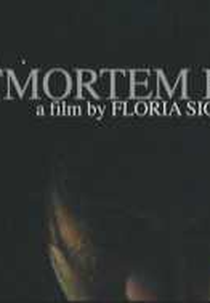 Postmortem Bliss (Postmortem Bliss)