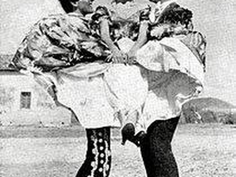 Foto 1 de O Sonho do Zorro