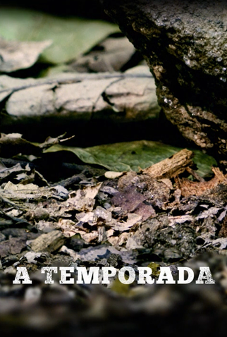 Poster 1 de Curta A Temporada (2012)