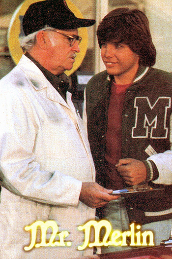 Poster de Franquia Mr. Merlin (1981)