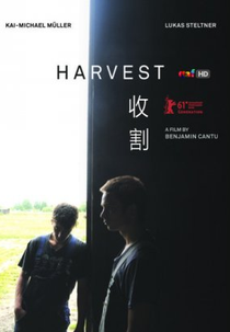 A Colheita (Harvest)