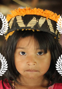 Flor Brilhante e as Cicatrizes da Terra (Flor Brilhante e as Cicatrizes da Terra)