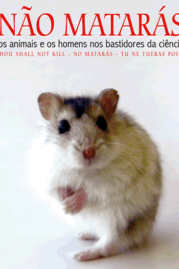 Poster de Filme Não Matarás (2006)