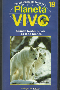 Planeta Vivo - Grande Norte: O País do Lobo Branco - Poster / Capa / Cartaz - Oficial 1